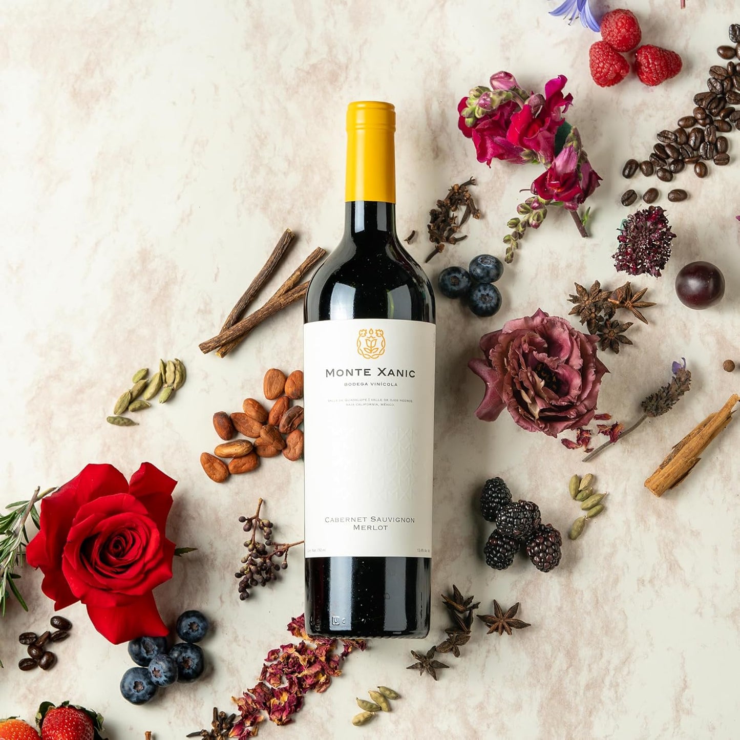 Vino Tinto Monte Xanic 750 ml (Merlot, Cabernet Sauv)