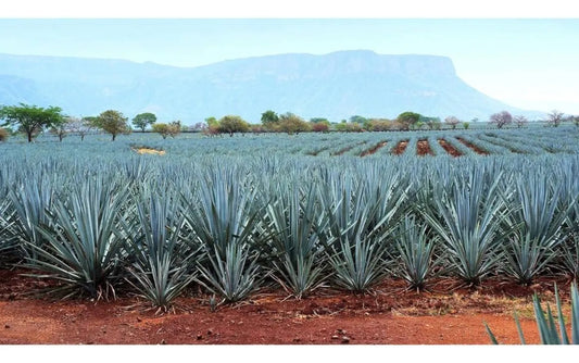 Tequila El Charro Reposado 750 ml