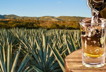 Tequila Cuervo Tradicional Reposado 950 ml