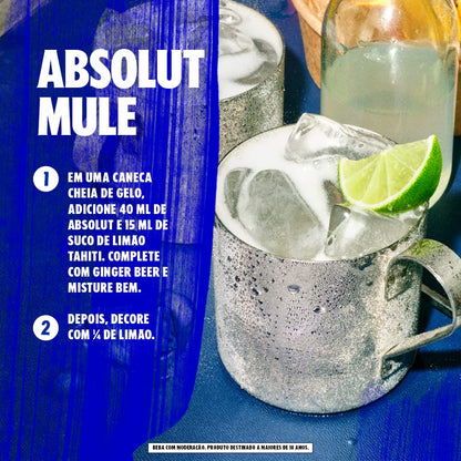 Vodka Absolut Natural/Azul 750 ml